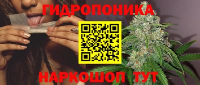 2c-b Кандалакша