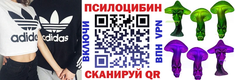 как найти наркотики  даркнет как зайти  Псилоцибиновые грибы мицелий  Людиново 