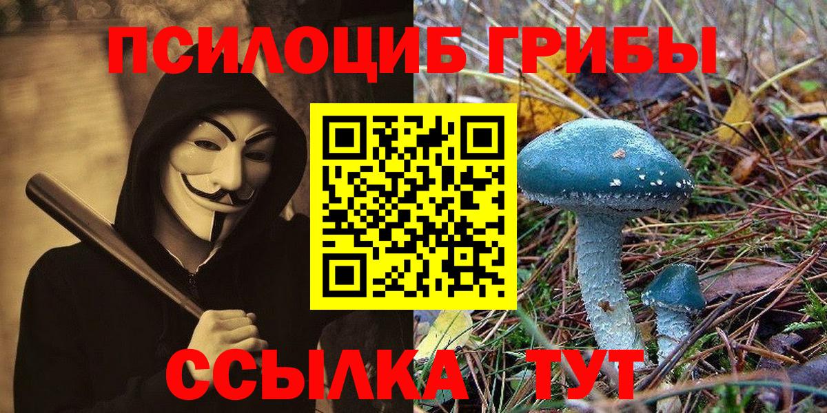 Псилоцибиновые грибы GOLDEN TEACHER  Вход с VPN  Людиново 